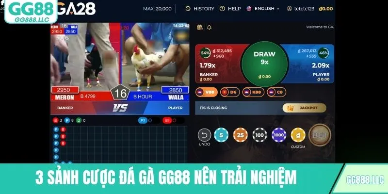 3 Sảnh cược đá gà GG88 nên trải nghiệm