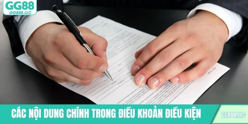Các nội dung chính trong điều khoản điều kiện