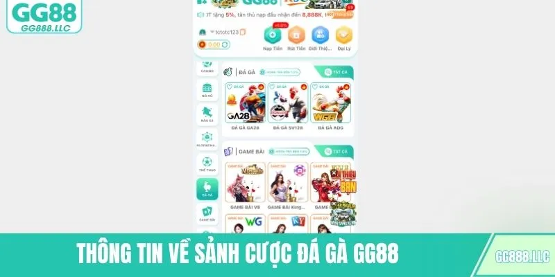 Thông tin về sảnh cược đá gà GG88